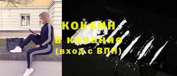 гидра Дубовка