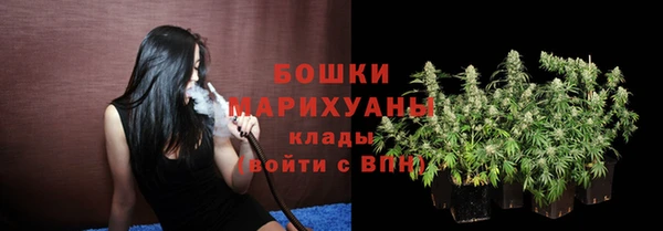 прущие грибы Богородицк