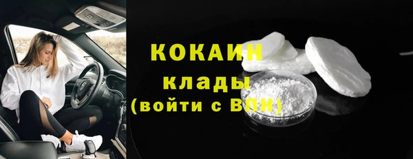 прущие грибы Богородицк