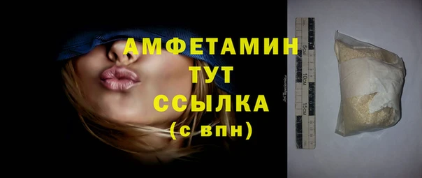 прущие грибы Богородицк