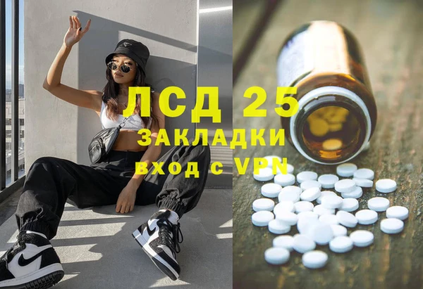 прущие грибы Богородицк