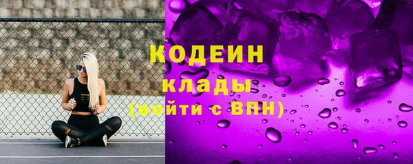 прущие грибы Богородицк